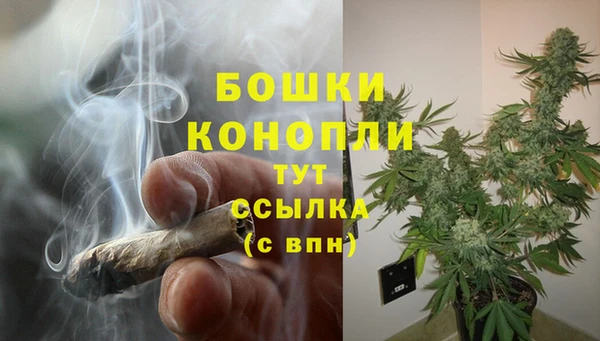 spice Белокуриха