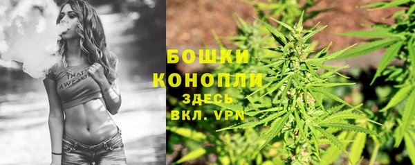 spice Белокуриха