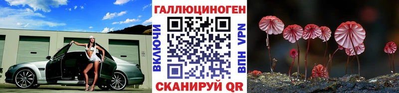 Псилоцибиновые грибы Psilocybe  blacksprut сайт  Морозовск 